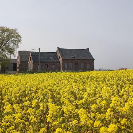 Spacious Holiday Home With Pond In Poperinge Roesbrugge-Haringe Extérieur photo