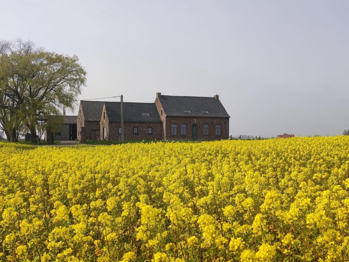 Spacious Holiday Home With Pond In Poperinge Roesbrugge-Haringe Extérieur photo